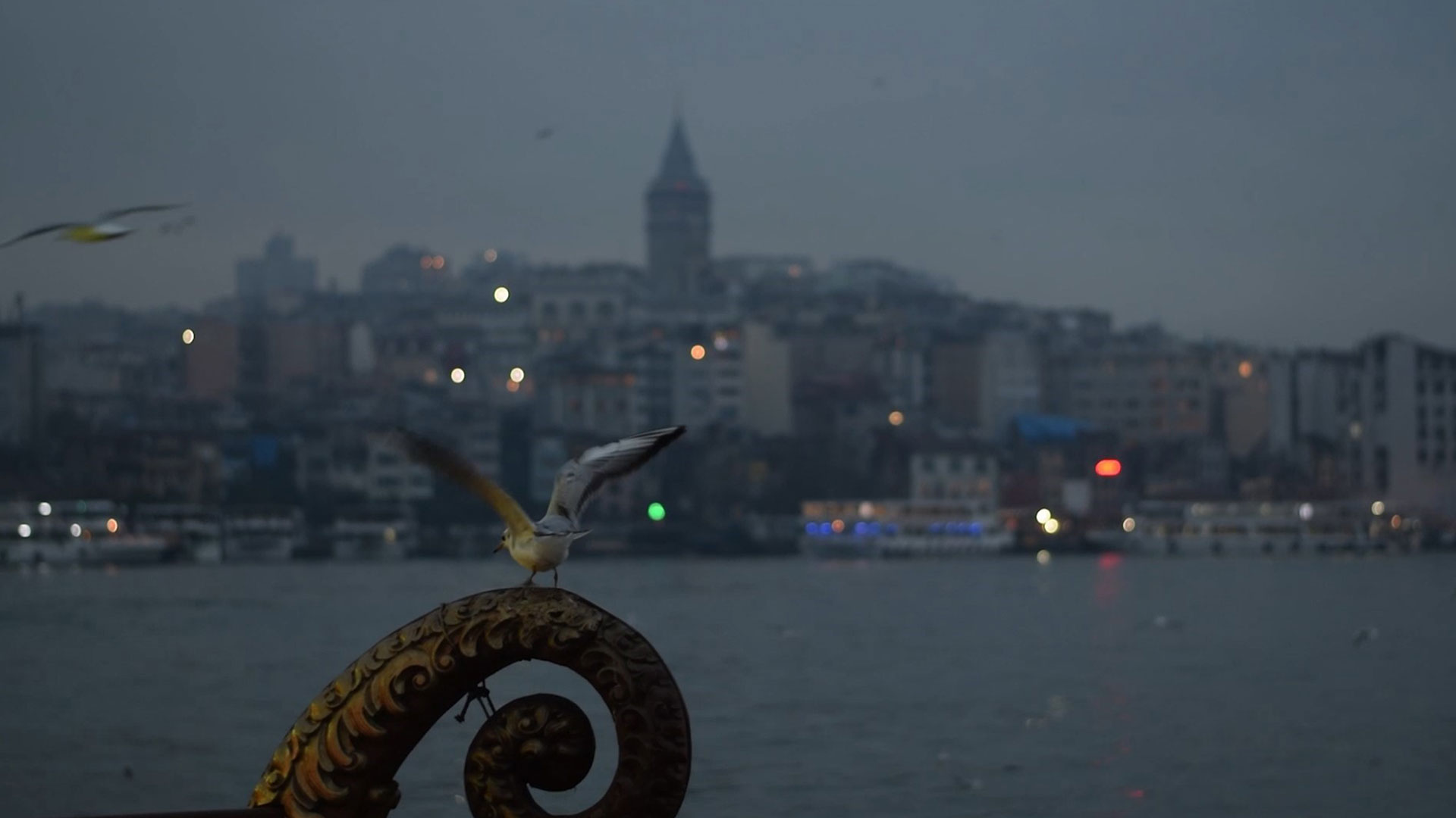 14. DOCUMENTARIST İstanbul Belgesel Günleri