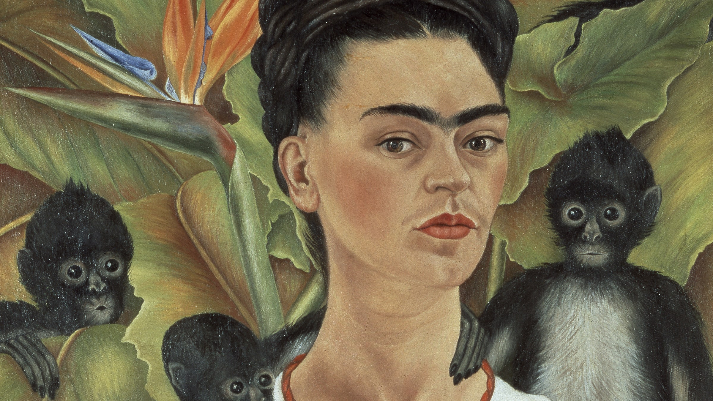 Frida Kahlo ve Diego Rivera görsel 5