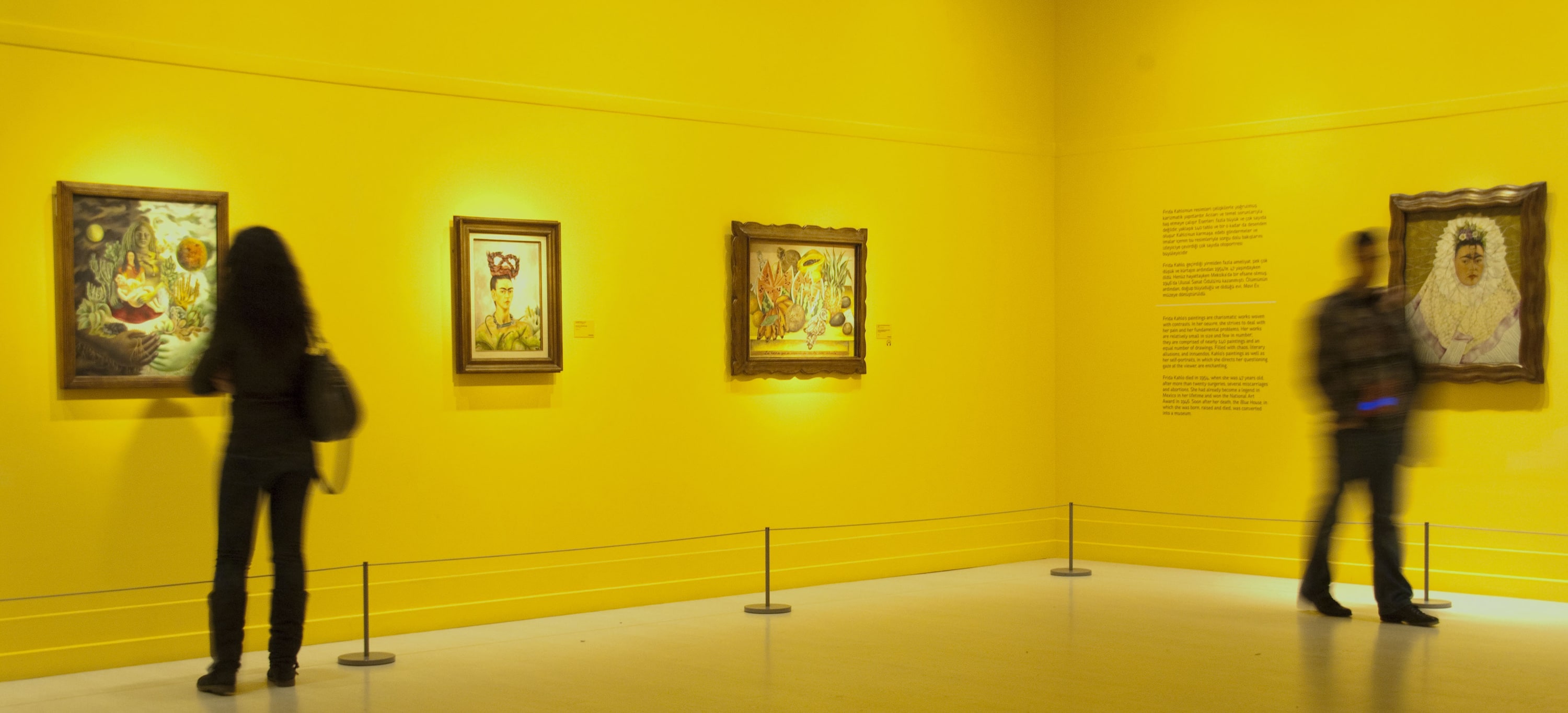 Frida Kahlo ve Diego Rivera galeri 15