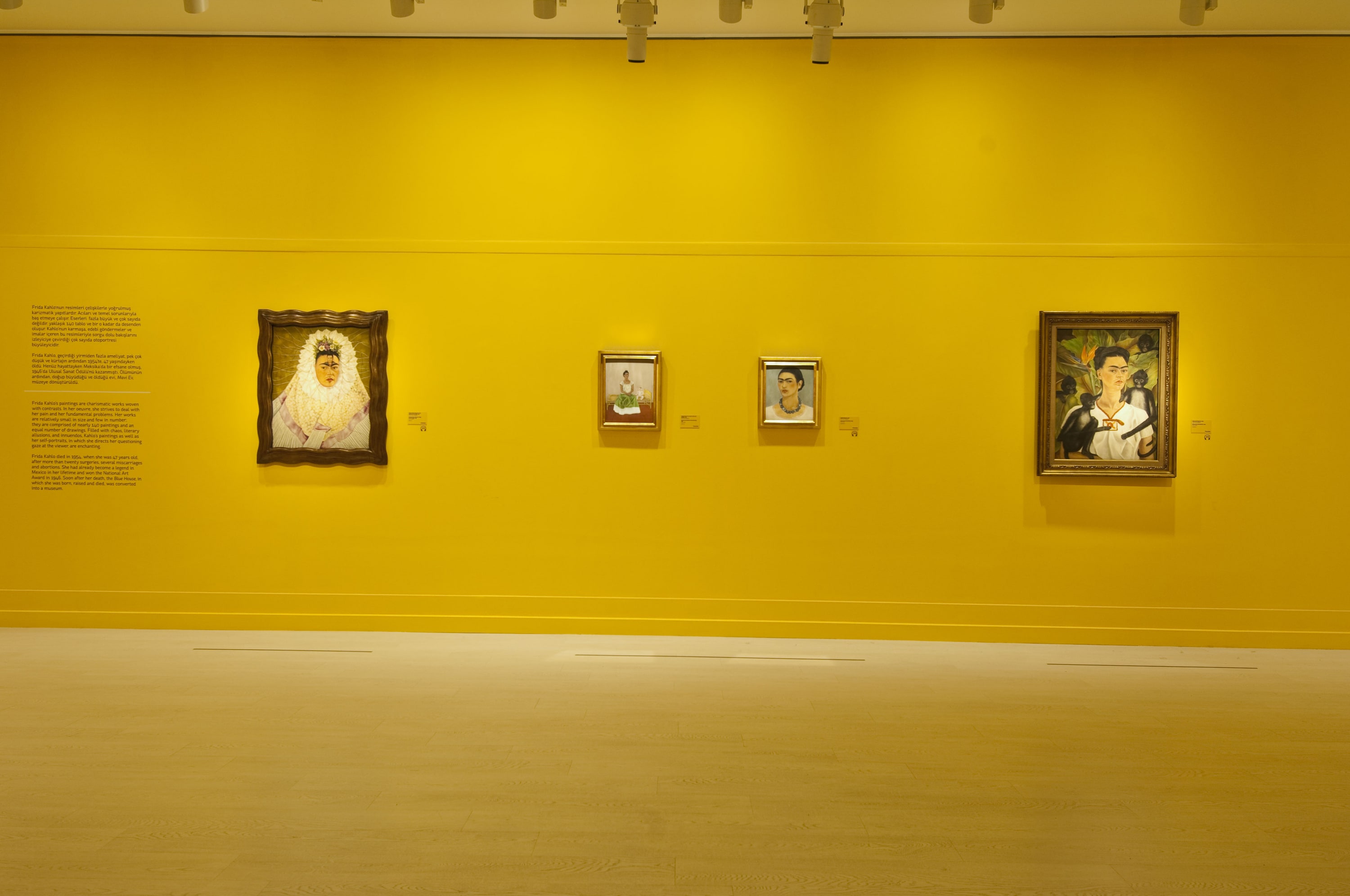 Frida Kahlo ve Diego Rivera galeri 5