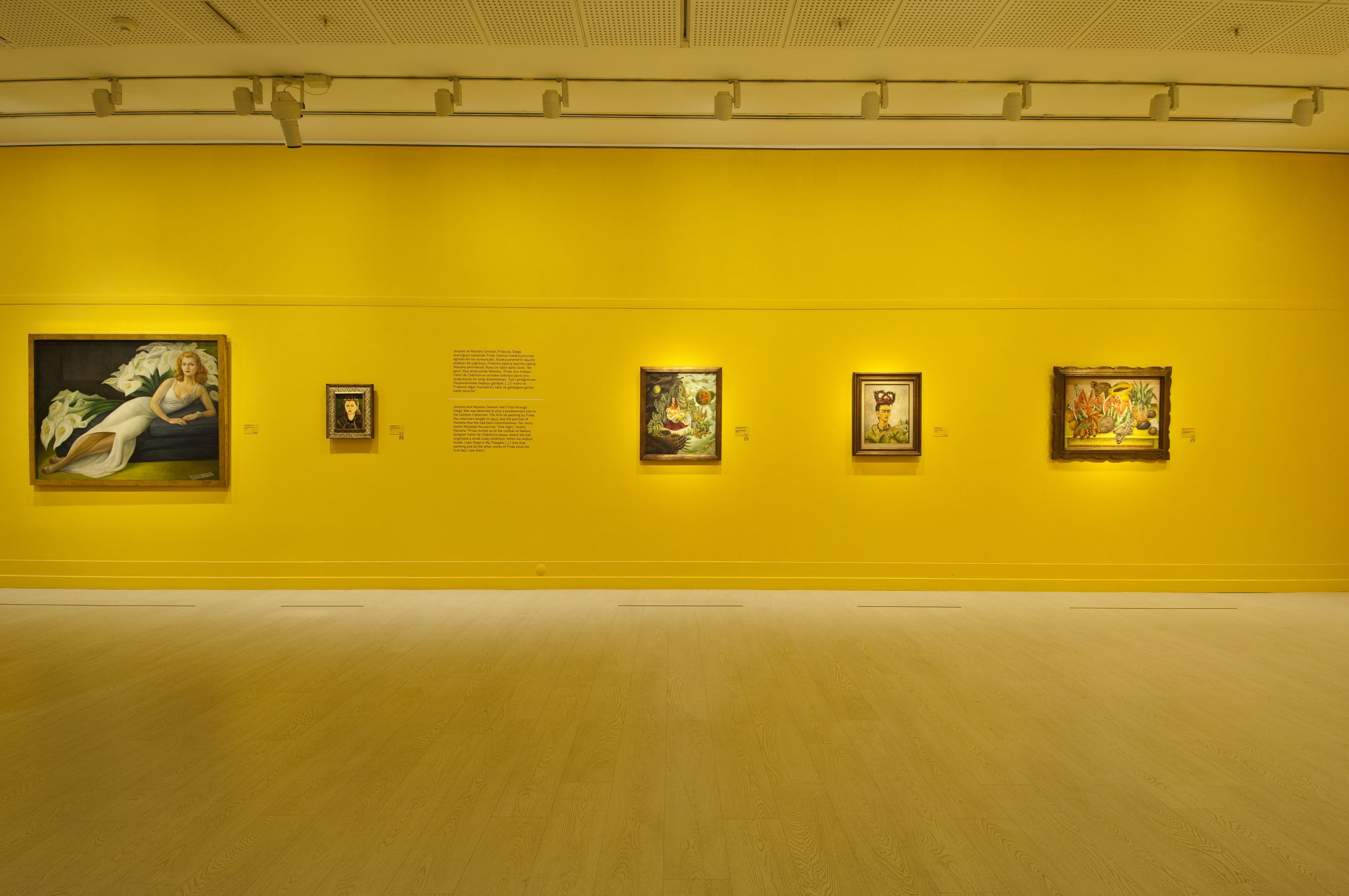 Frida Kahlo ve Diego Rivera galeri 6