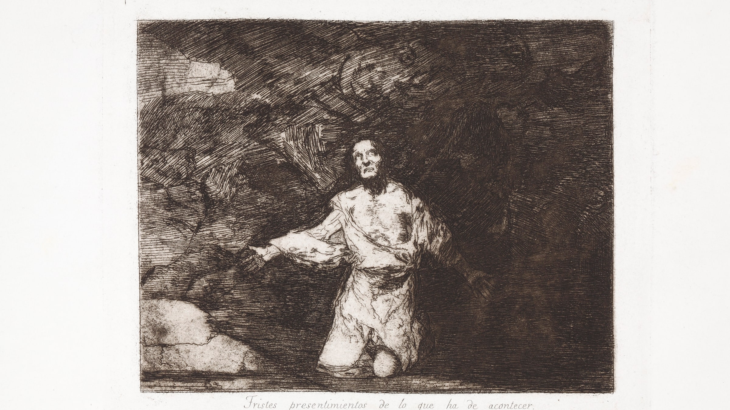 Goya görsel 3