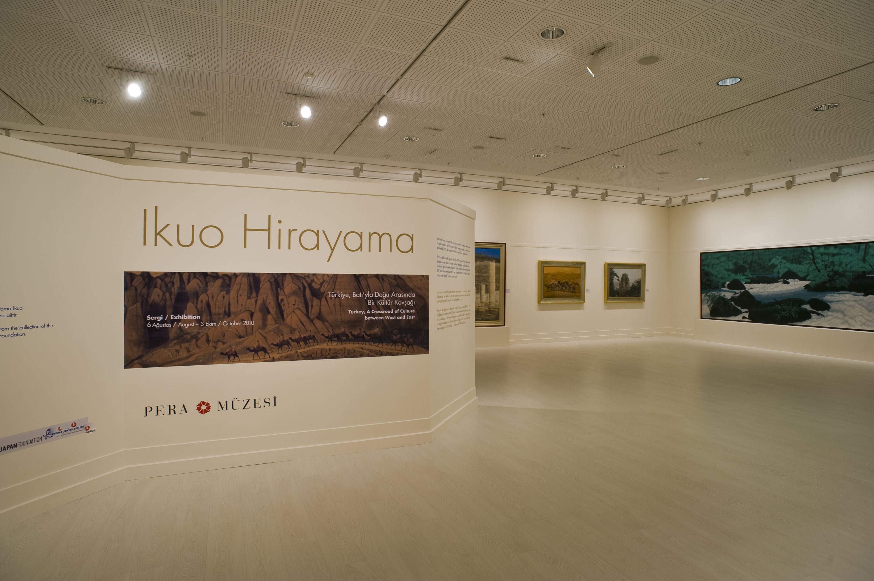 Ikuo Hirayama galeri 0