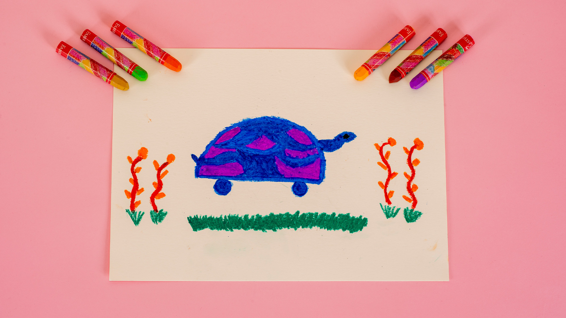 Kaplumbağa Çizimi 